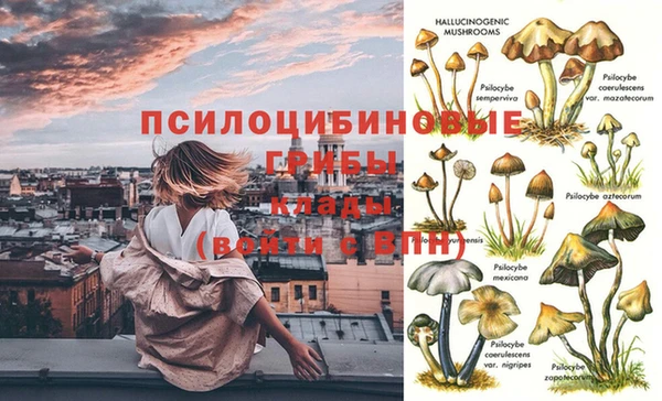 кокс Новодвинск